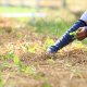 food security victoria